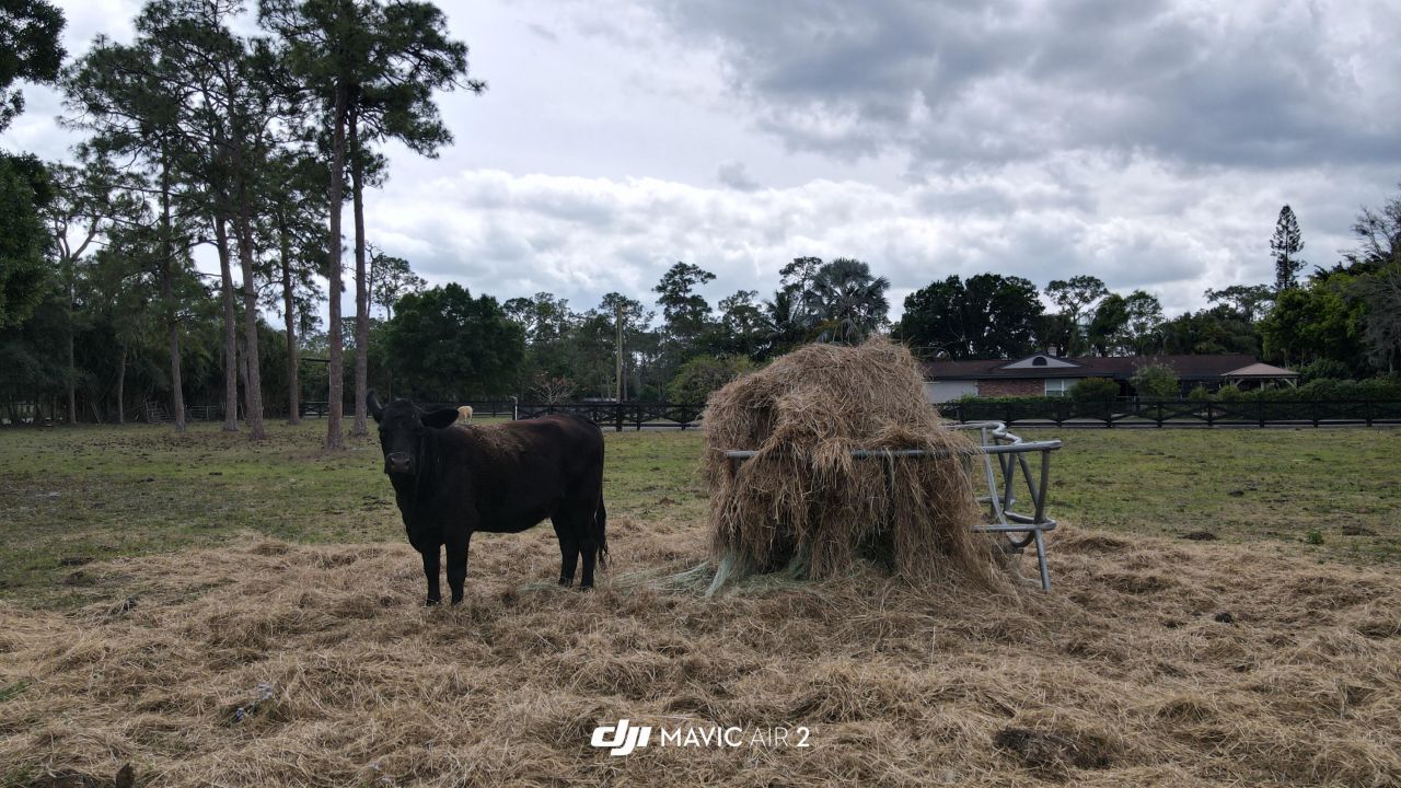 0000 161st Ter N Terrace N, Loxahatchee Groves, FL 33470 Photo