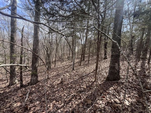 000 Boanna , Cherokee Village, AR 72529