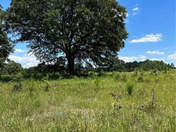 0 Hampton Ridge Court, Mobile, AL 36608