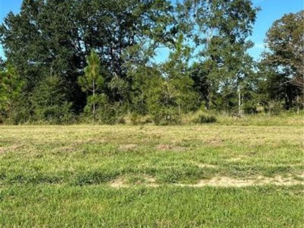 0 Hampton Ridge Court, Mobile, AL 36608