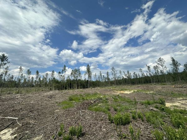 Parcel B Yellow River Baptist Church Road, Baker, FL 32531