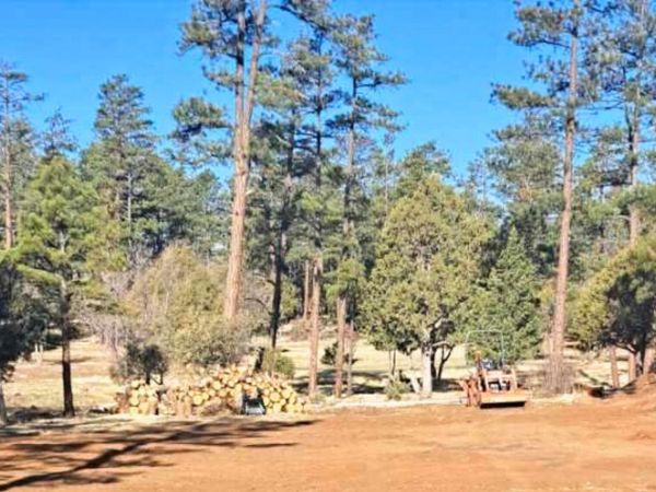 5452 RED SQUIRREL Lane, Unit 29, Lakeside, AZ 85929