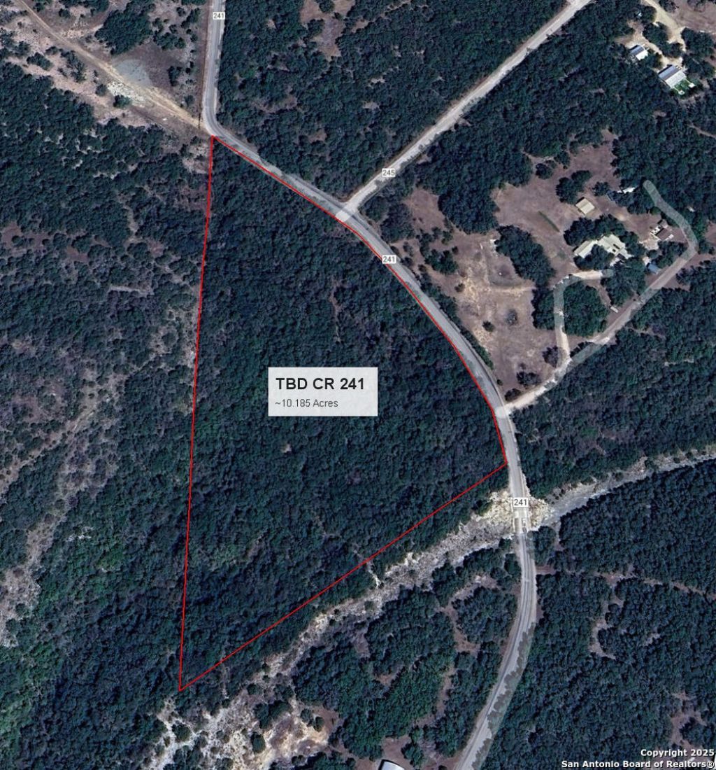 Tbd County Road 241, Hondo, TX 78861 Main Photo
