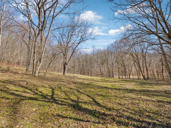 6528 Neely Creek Rd, Celina, TN 38551