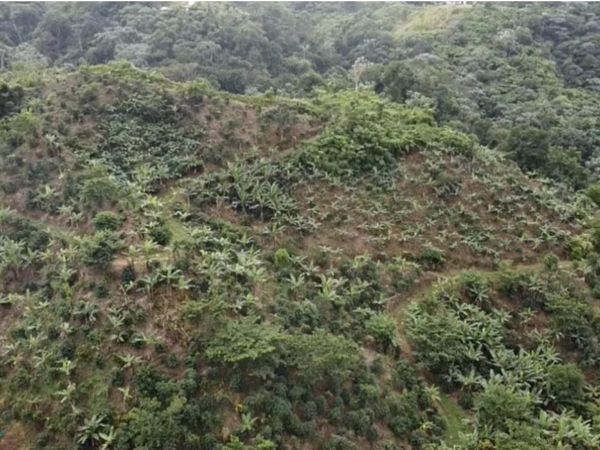 KM .08 BO. CERROTE, Unit PR 409, Las Marias, PR 00610