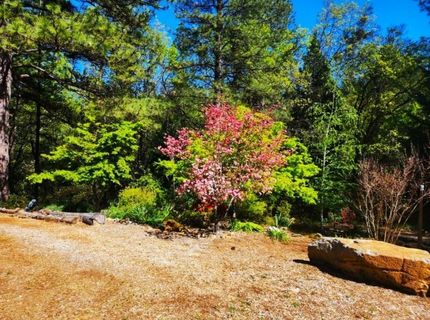 955 Grinding Rock Ct, West Point, CA 95255 Photo