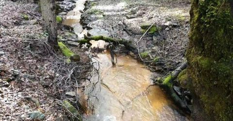 955 Grinding Rock Ct, West Point, CA 95255 Photo