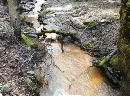 955 Grinding Rock Ct, West Point, CA 95255 Photo