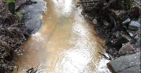 955 Grinding Rock Ct, West Point, CA 95255 Photo