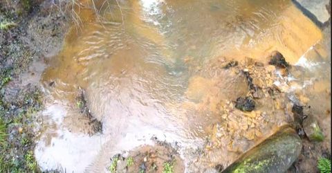 955 Grinding Rock Ct, West Point, CA 95255 Photo