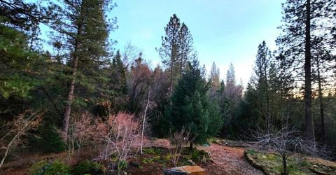 955 Grinding Rock Ct, West Point, CA 95255 Photo