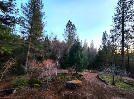 955 Grinding Rock Ct, West Point, CA 95255 Photo