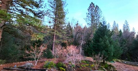 955 Grinding Rock Ct, West Point, CA 95255 Photo