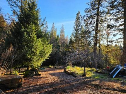 955 Grinding Rock Ct, West Point, CA 95255 Photo