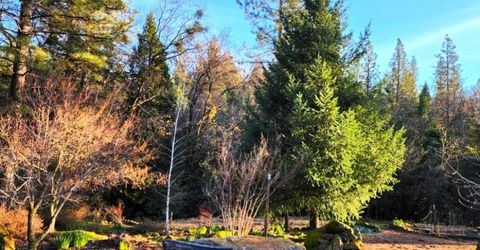 955 Grinding Rock Ct, West Point, CA 95255 Photo