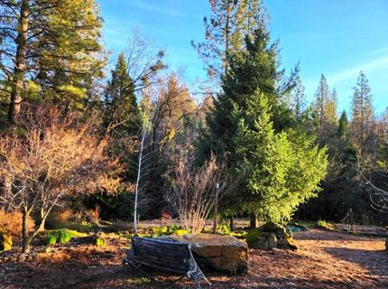 955 Grinding Rock Ct, West Point, CA 95255 Photo