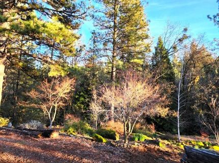 955 Grinding Rock Ct, West Point, CA 95255 Photo