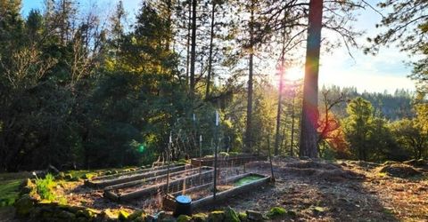 955 Grinding Rock Ct, West Point, CA 95255 Photo