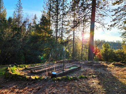 955 Grinding Rock Ct, West Point, CA 95255 Photo