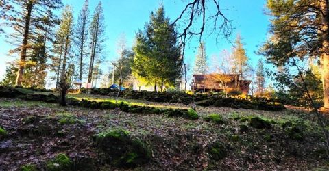 955 Grinding Rock Ct, West Point, CA 95255 Photo