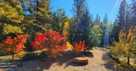 955 Grinding Rock Ct, West Point, CA 95255 Photo