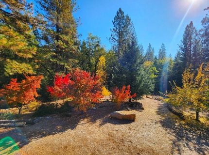 955 Grinding Rock Ct, West Point, CA 95255 Photo