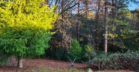 955 Grinding Rock Ct, West Point, CA 95255 Photo