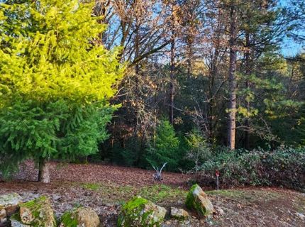 955 Grinding Rock Ct, West Point, CA 95255 Photo