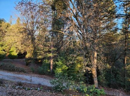 955 Grinding Rock Ct, West Point, CA 95255 Photo