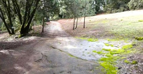 955 Grinding Rock Ct, West Point, CA 95255 Photo