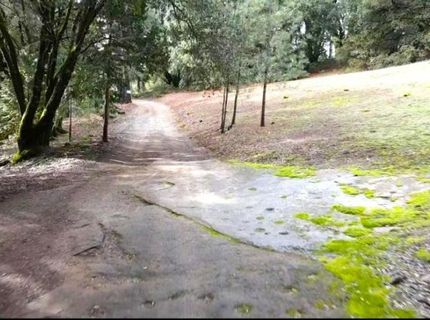 955 Grinding Rock Ct, West Point, CA 95255 Photo