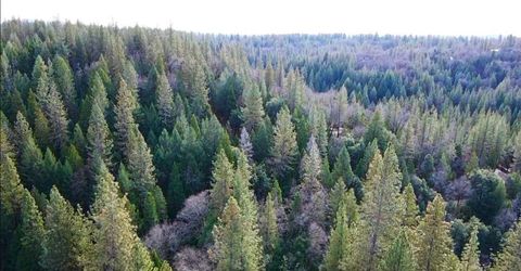 955 Grinding Rock Ct, West Point, CA 95255 Photo