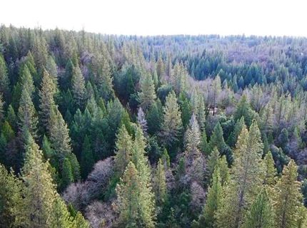 955 Grinding Rock Ct, West Point, CA 95255 Photo