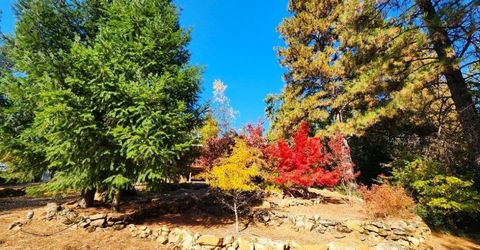 955 Grinding Rock Ct, West Point, CA 95255 Photo