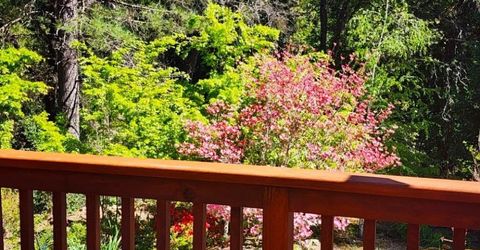 955 Grinding Rock Ct, West Point, CA 95255 Photo