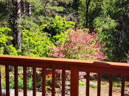 955 Grinding Rock Ct, West Point, CA 95255 Photo