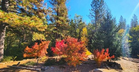 955 Grinding Rock Ct, West Point, CA 95255 Photo