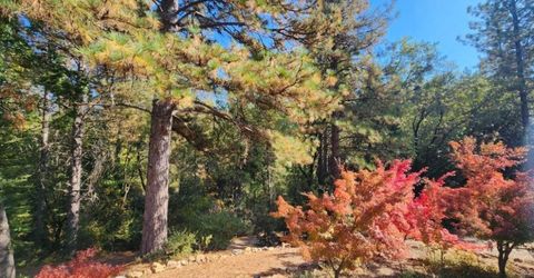 955 Grinding Rock Ct, West Point, CA 95255 Photo