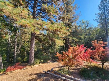 955 Grinding Rock Ct, West Point, CA 95255 Photo