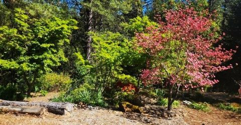 955 Grinding Rock Ct, West Point, CA 95255 Photo