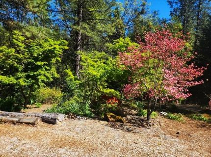 955 Grinding Rock Ct, West Point, CA 95255 Photo