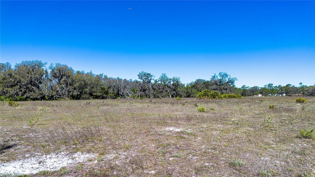 1 Alderman Turner Road, Wimauma, FL 33598 Photo