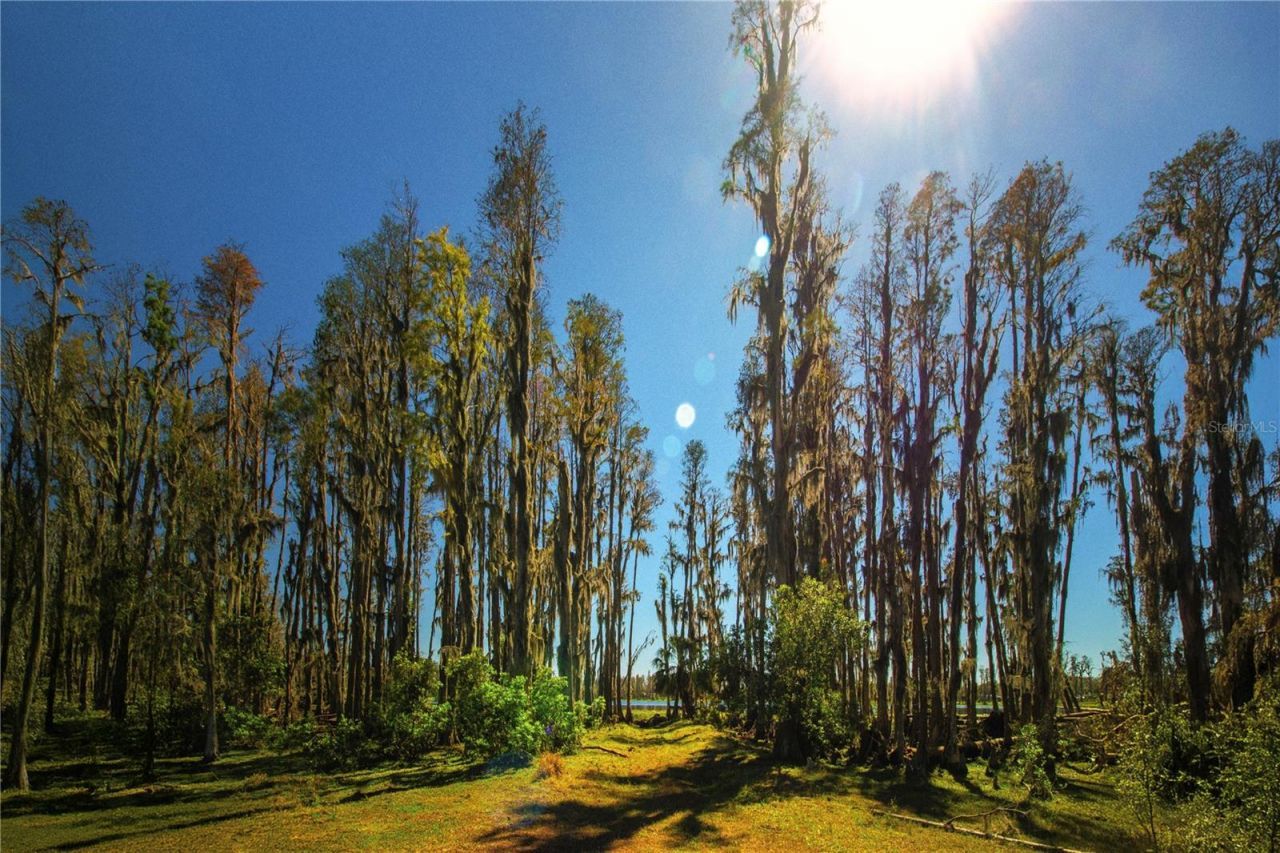 1 Alderman Turner Road, Wimauma, FL 33598 Photo