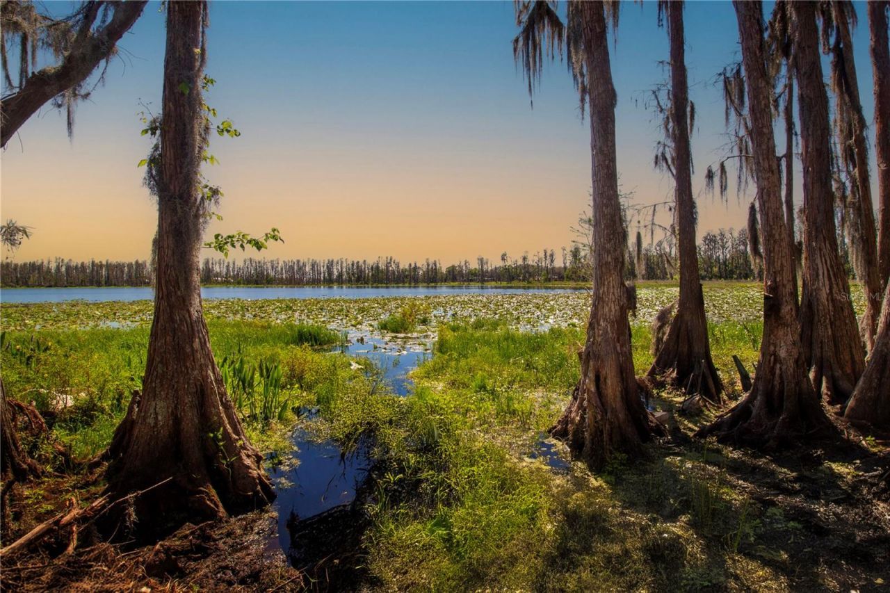 1 Alderman Turner Road, Wimauma, FL 33598 Photo