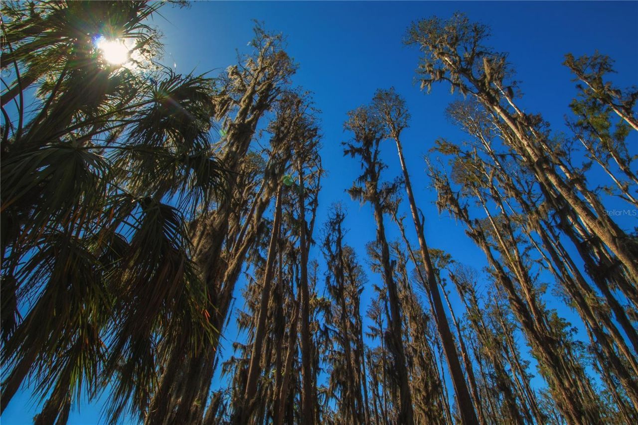 1 Alderman Turner Road, Wimauma, FL 33598 Photo