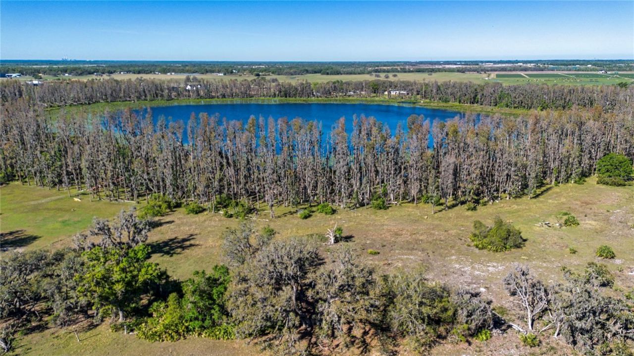 1 Alderman Turner Road, Wimauma, FL 33598 Photo