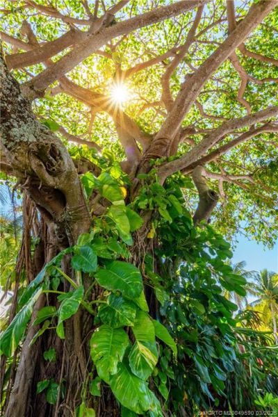 3901 SE Saint Lucie Boulevard, Unit 69, Stuart, FL 34997 Photo