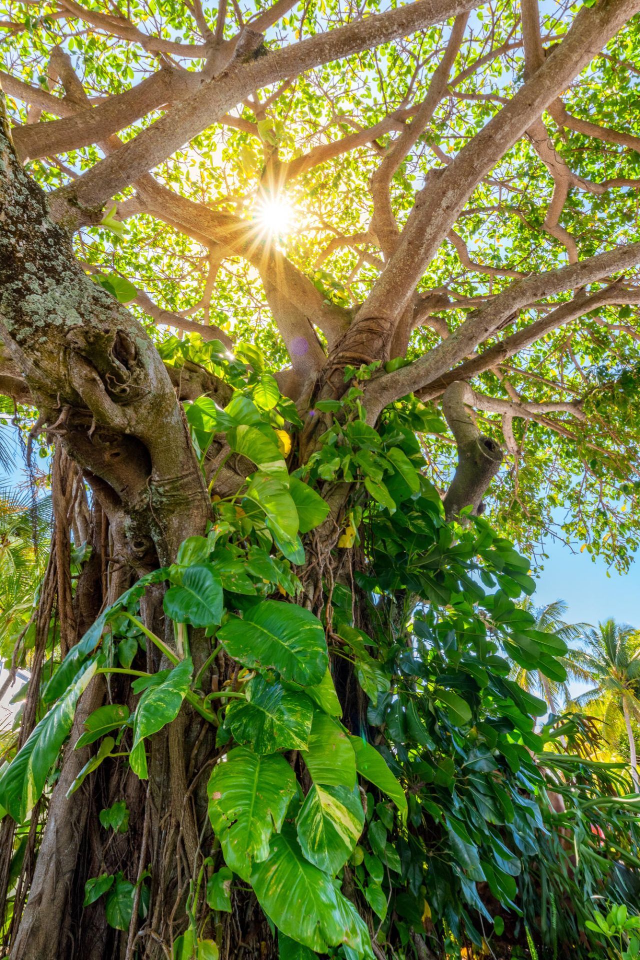 3901 SE Saint Lucie Boulevard, Unit 69, Stuart, FL 34997 Photo