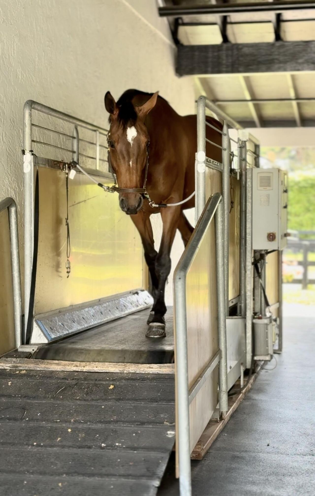 13205 Southfields Road, Wellington, FL 33414 Photo