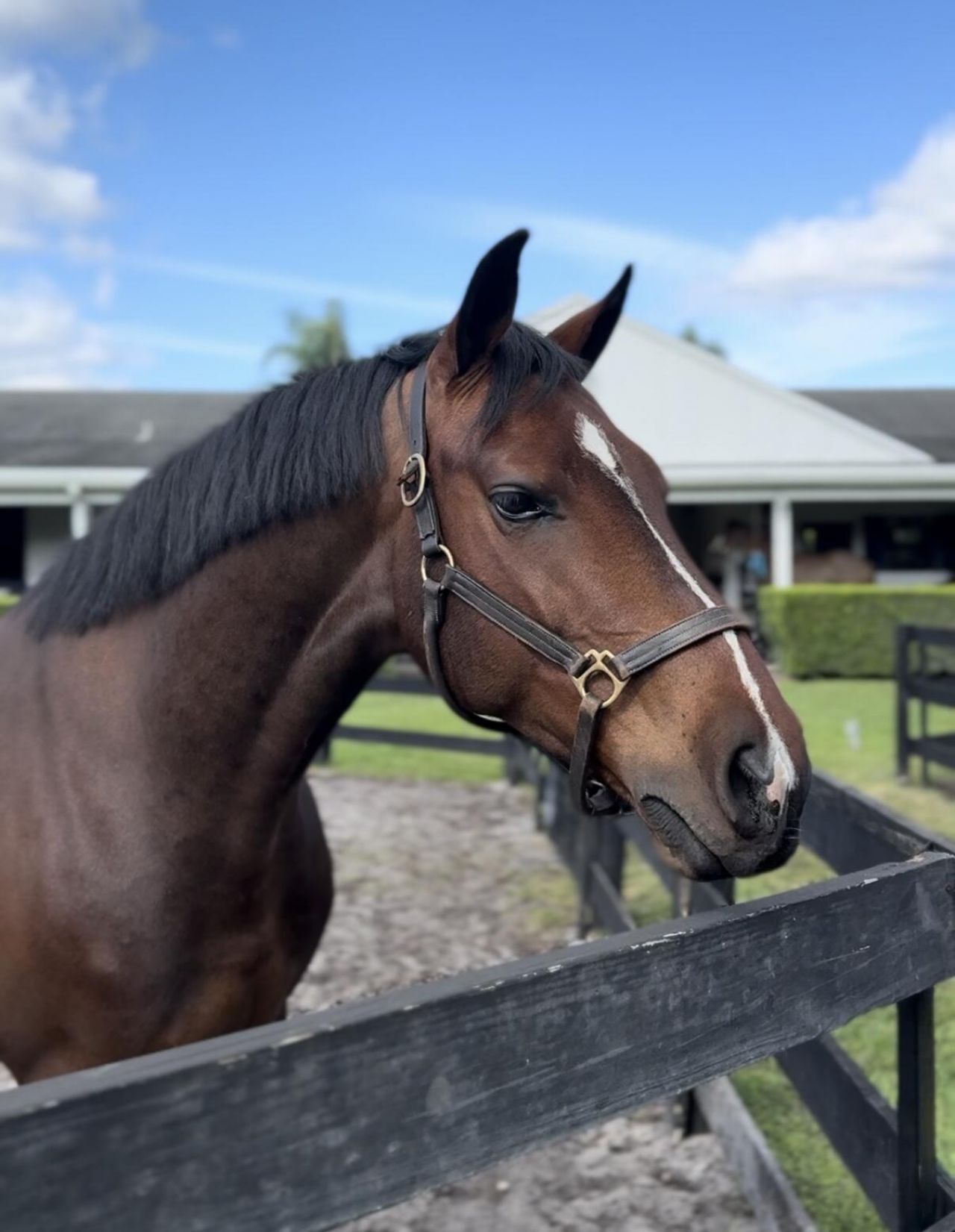 13205 Southfields Road, Wellington, FL 33414 Photo